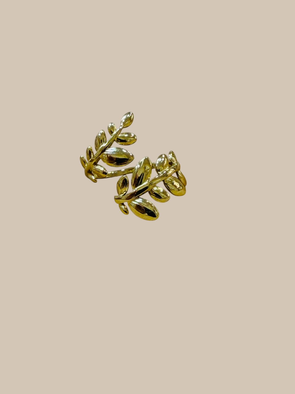 Anillo hoja