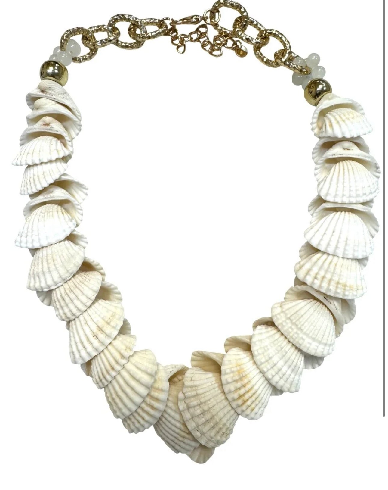 Collar conchas