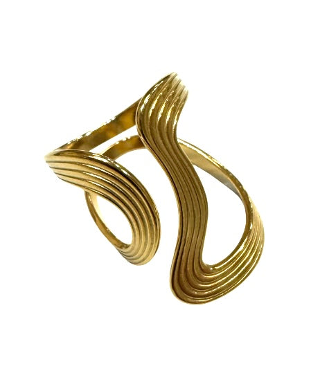 ANILLO LINFA