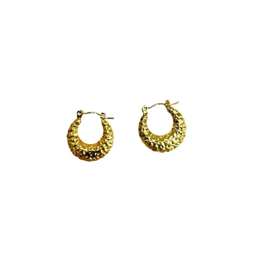 Pendientes rugy