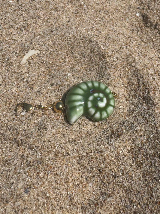 CARACOLA VERDE