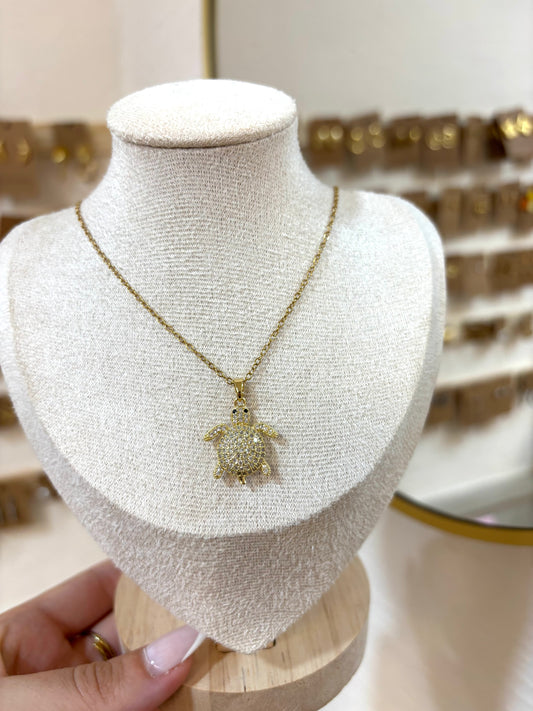 Tortuga con circonitas